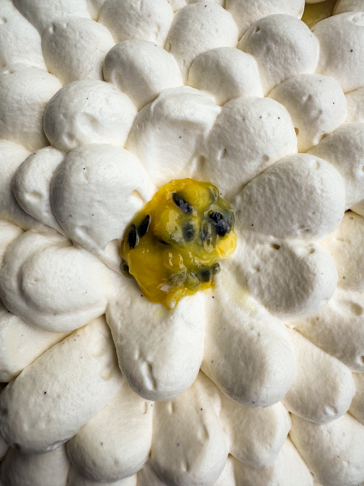 Passionfruit Tart